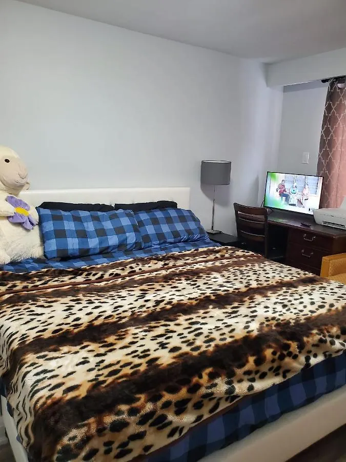Maxwell Esabu Apartment Toronto